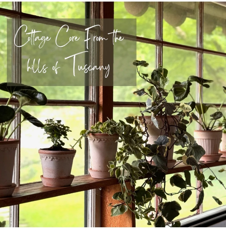 Is Holistic Habitat Legit Honest Review Neuralpaws Is Holistic Habitat Legit Honest Review Neuralpaws