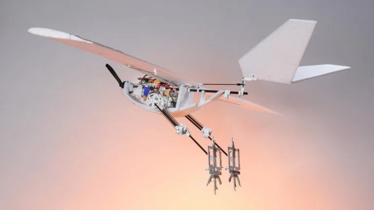 EPFL Develops Bird-Inspired Drone