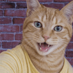 CAT ME app logo